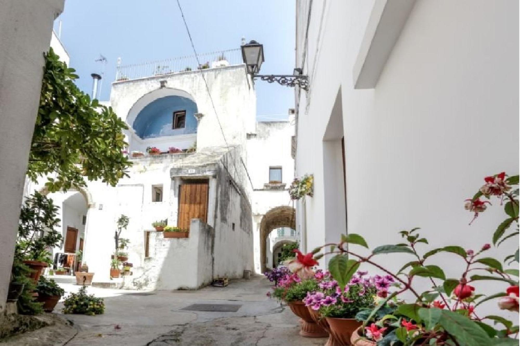 Le Finestre Su Porta Carrese - Luxury Rooms Matino Kültér fotó